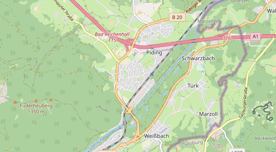 physical therapy on map