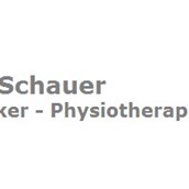 physical therapy - Markus Schauer 