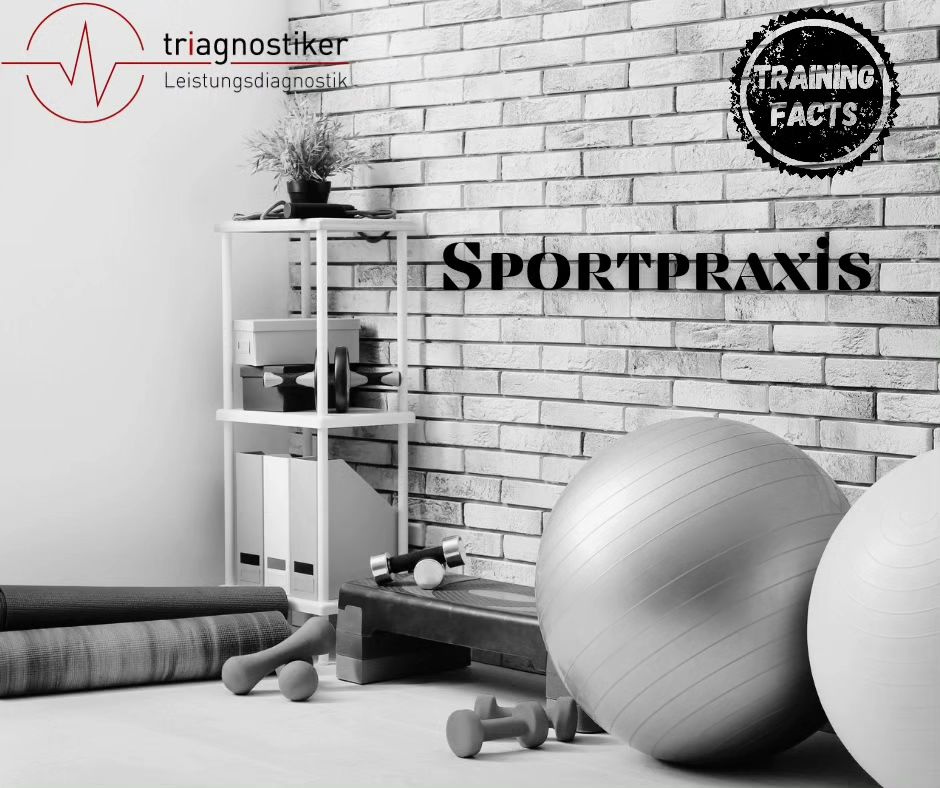 Physiotherapeut - Therapieform: Personal Training - triagnostiker training therapie