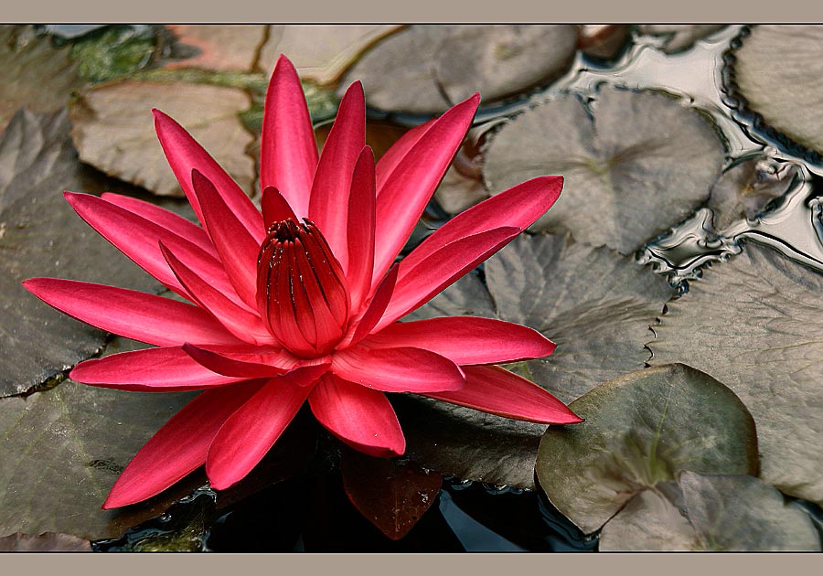 ConnYemaya Mobile Krankengymnastik und Physiotherapie  Zorneding Hausbesuch Personenzahl Regenbogencirkel