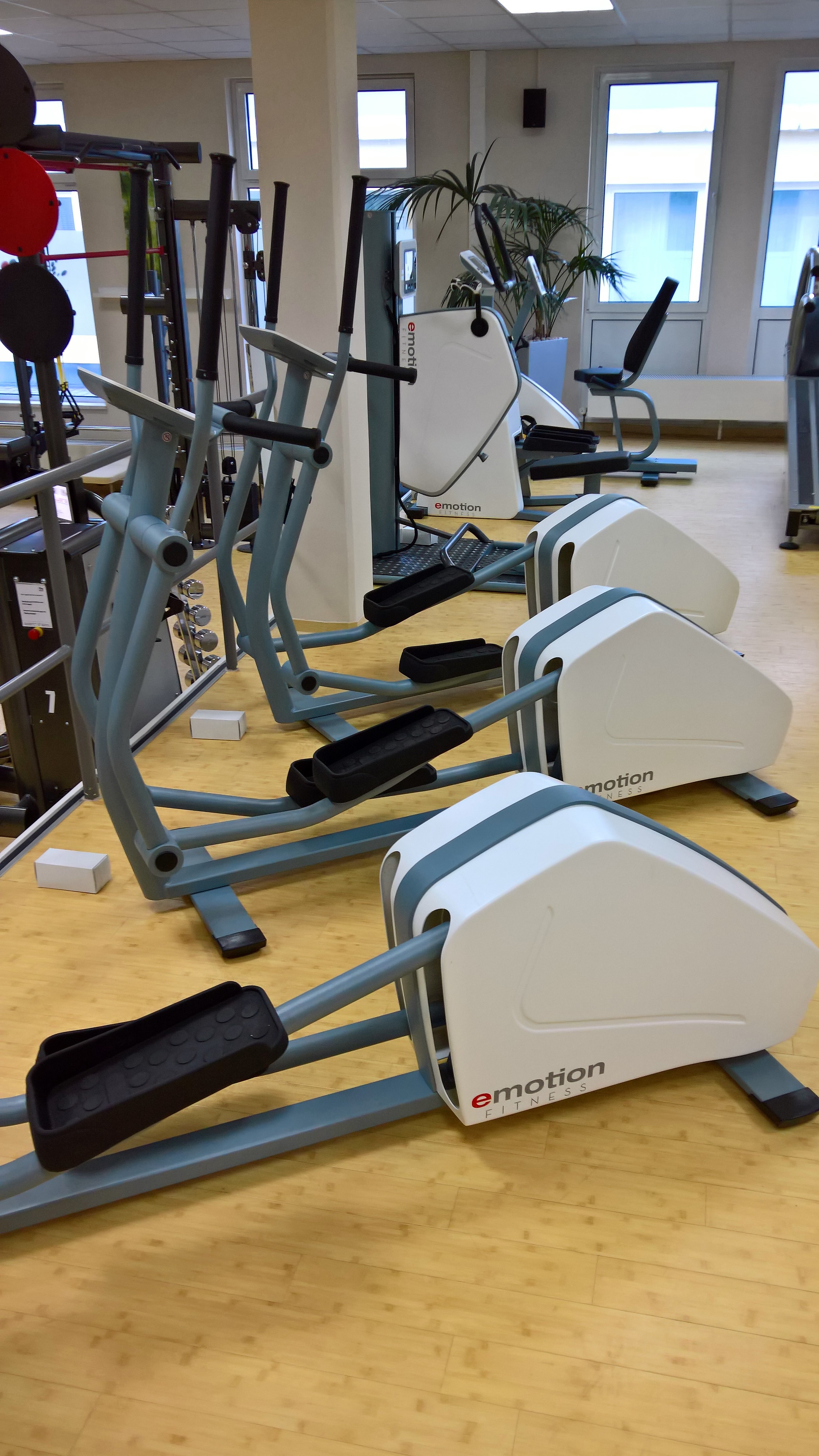 Physiotherapeut - Baden-Württemberg - Aktiv-Punkt Sanderau GmbH