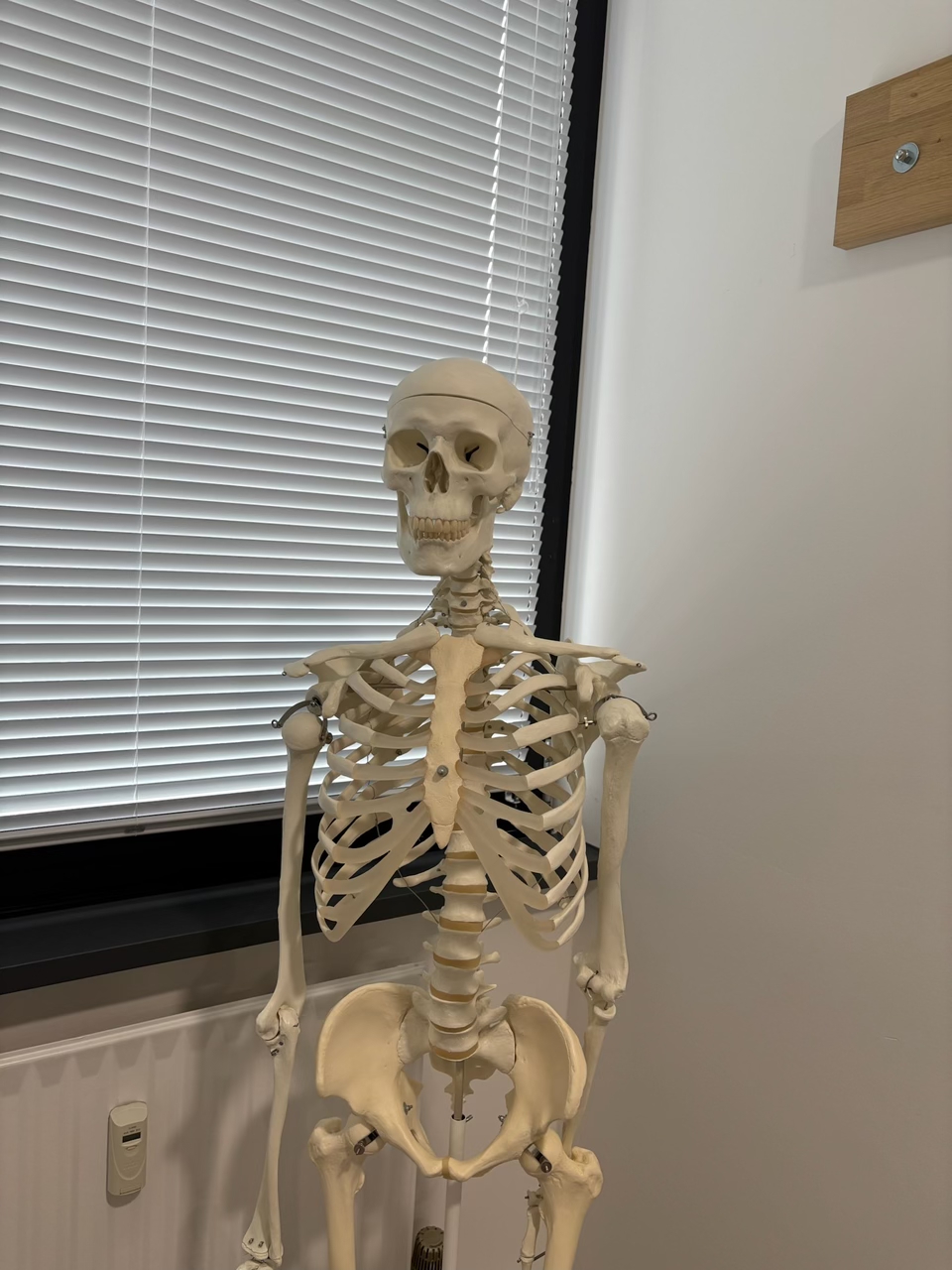 Physiotherapeut - Therapieform: Personal Training - Karl - Physio City Nord