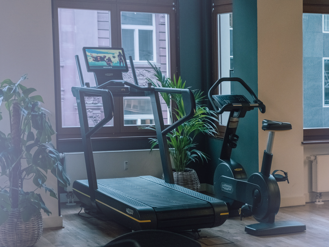 Somana – Physiotherapie am Gendarmenmarkt Premises Training area