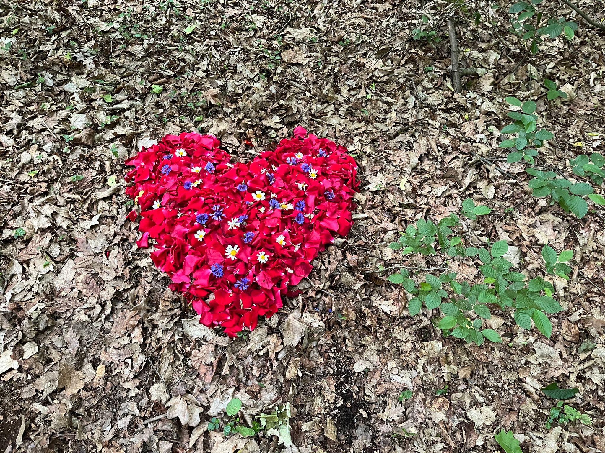 Therapiezentrum Schubert  Number of people Physiotherapy + hypnotherapy