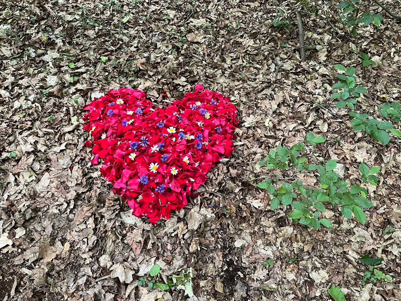 Therapiezentrum Schubert  Personenzahl Physiotherapie + Hypnosetherapie