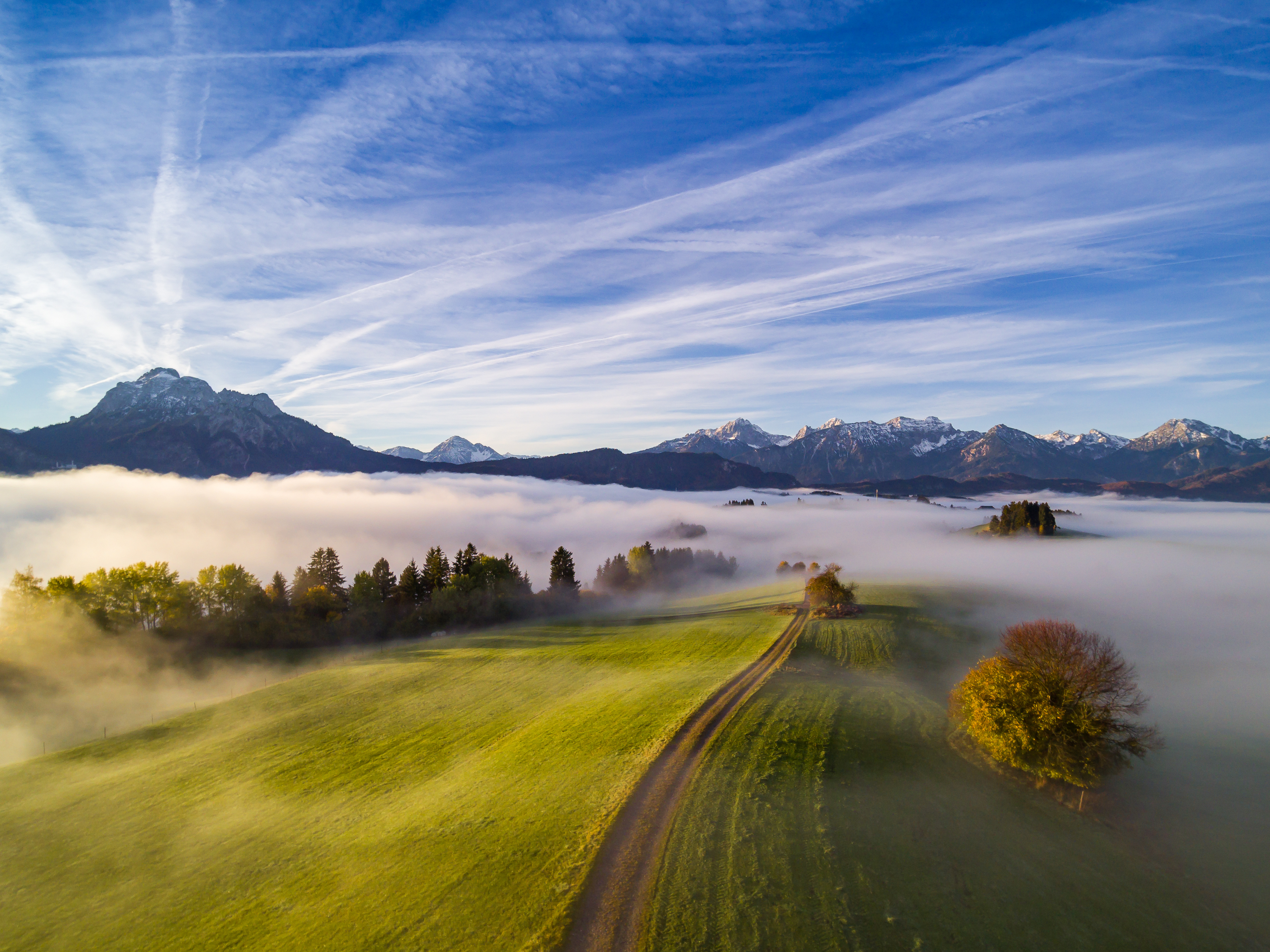 Physiotherapie: Mystische Allgäuer Landschaft mit Herbstnebel, Wald und Alpenkulisse in der Nähe von Hopfen am See - Eggensberger Therapiezentrum